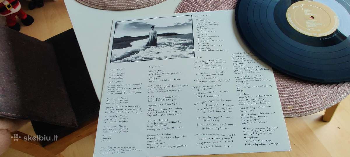Enya vinilas - nuotraukos Nr. 5