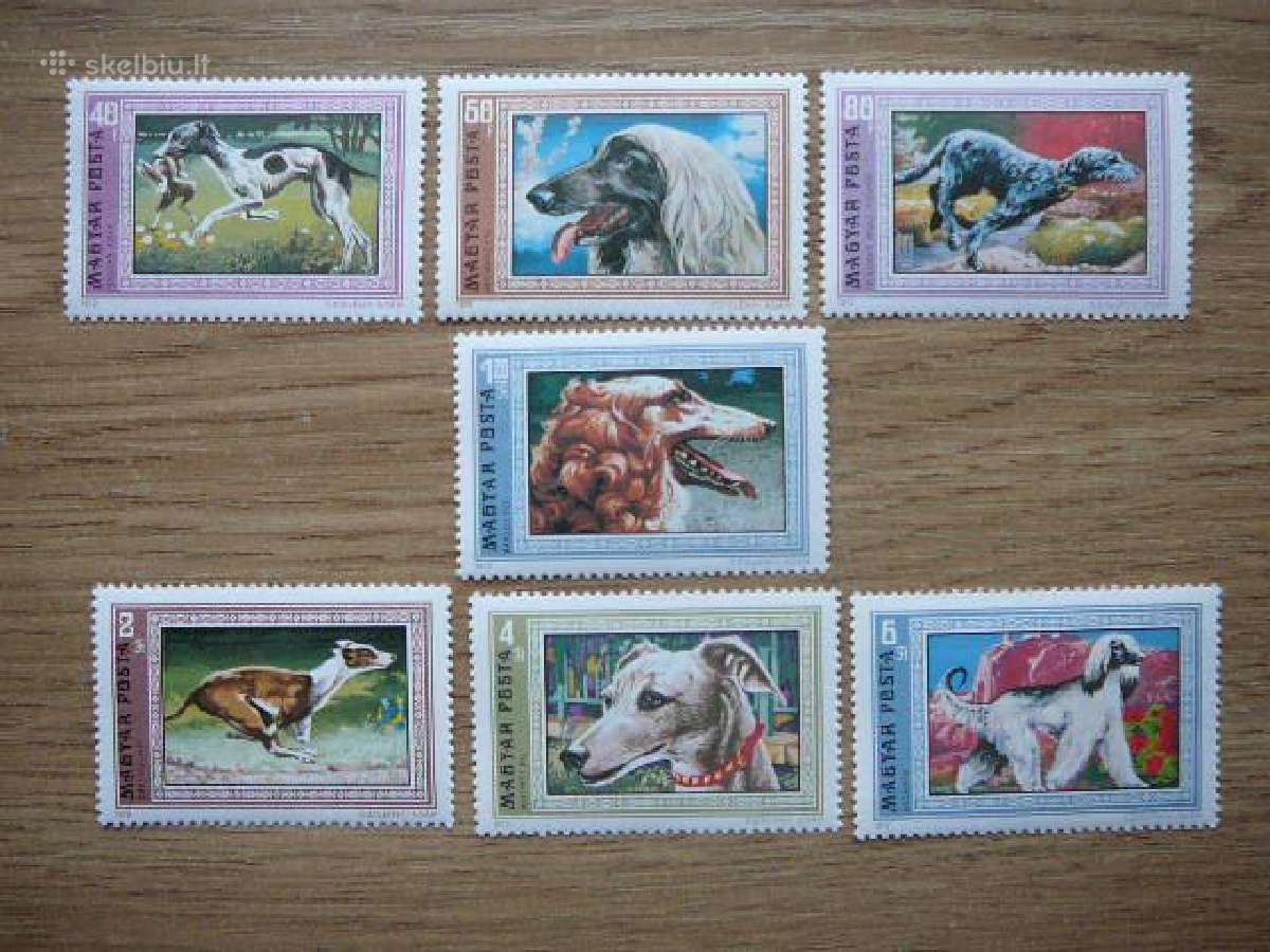 Sunys Vengrija 1972 Mnh vng824