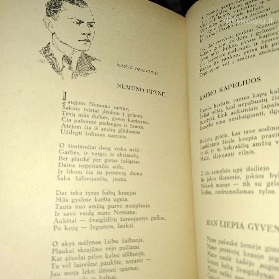 1942 Literatūros metraštis su kalendorium - nuotraukos Nr. 5