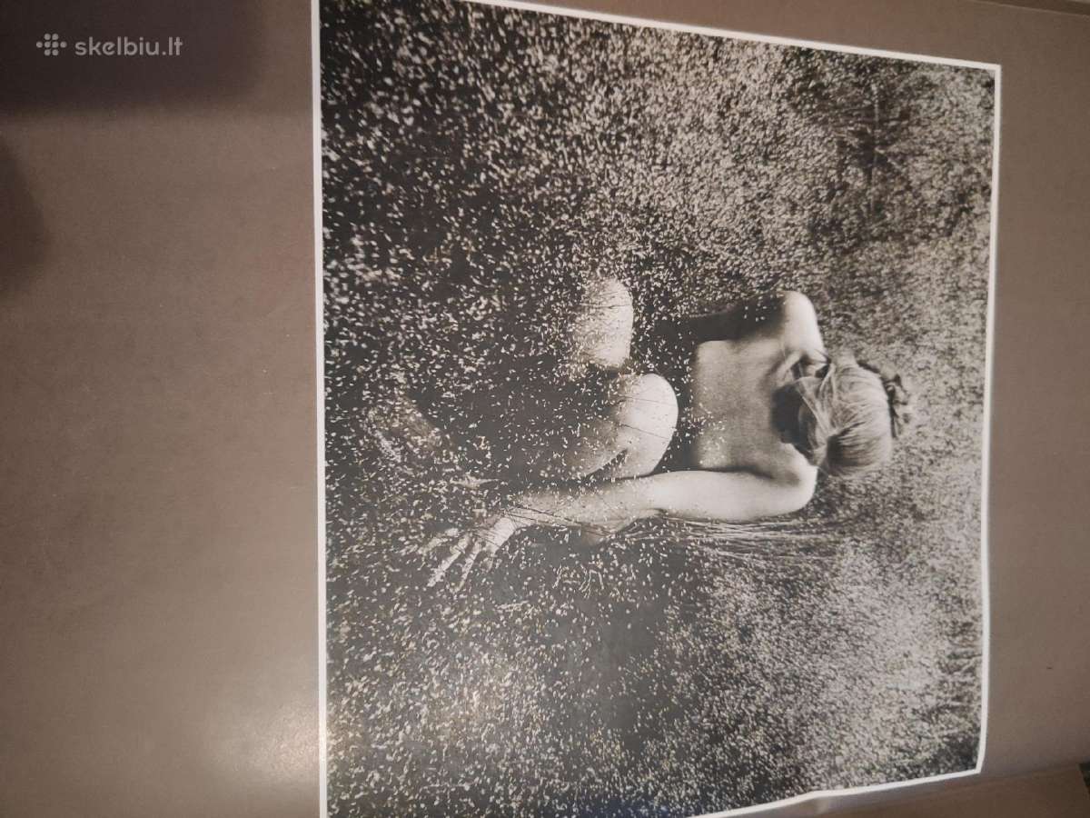 Parduodu R. Dichavičiaus foto albumą - nuotraukos Nr. 2