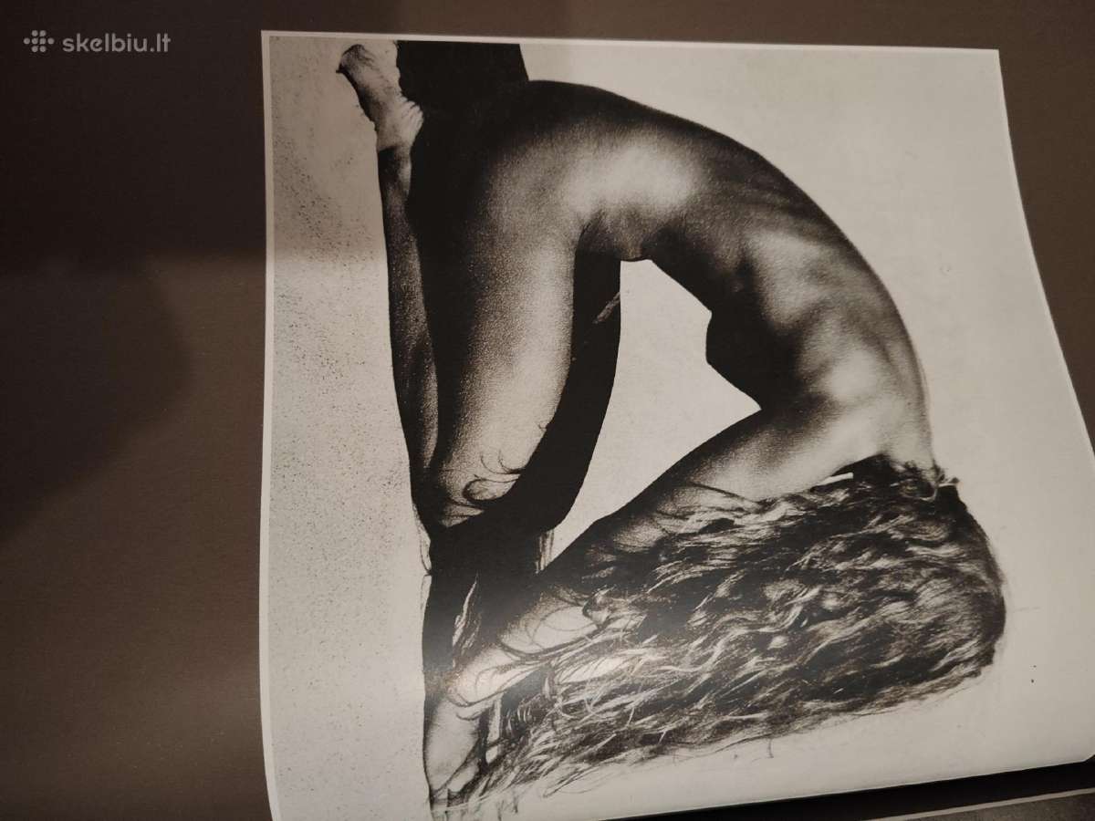 Parduodu R. Dichavičiaus foto albumą - nuotraukos Nr. 3