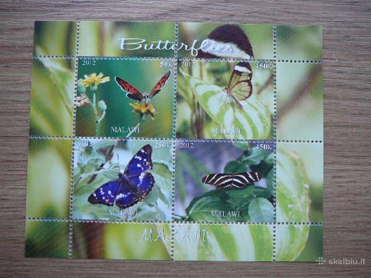 Drugeliai Malavis 2012 svarus r1437