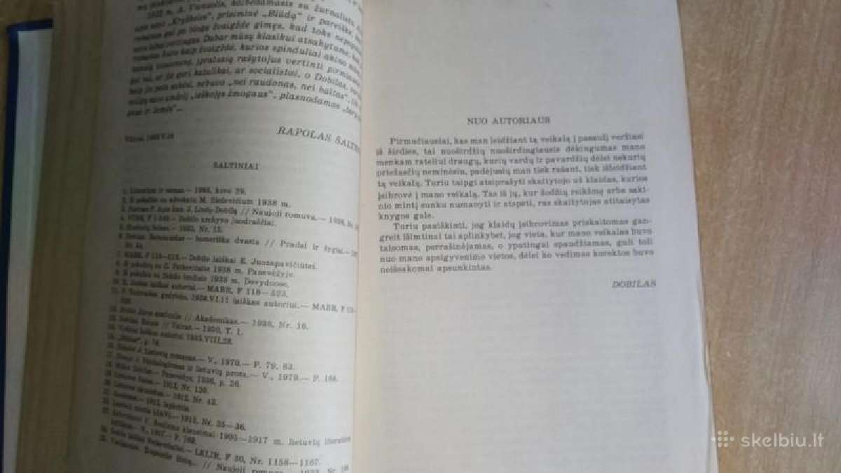 J. Lindė Dobilas - Blūdas, Lazdynų Pelėda - Klaida - nuotraukos Nr. 6