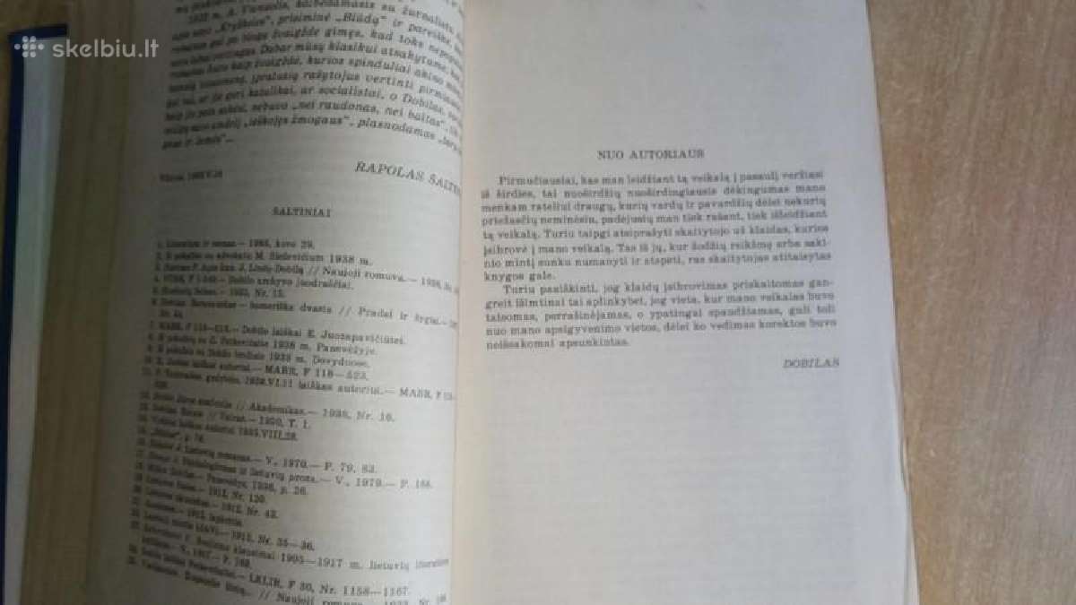 J. Lindė Dobilas - Blūdas, Lazdynų Pelėda - Klaida - nuotraukos Nr. 6