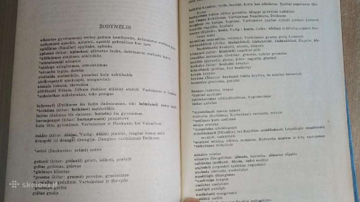 J. Lindė Dobilas - Blūdas, Lazdynų Pelėda - Klaida - nuotraukos Nr. 7
