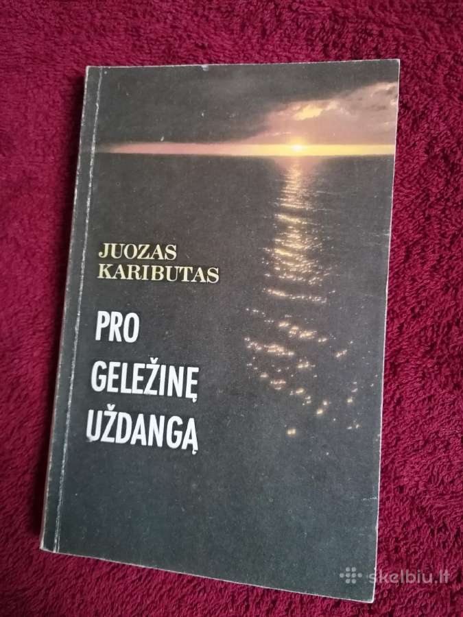Daug istorinių, kultūros, meno ir kitų knygu - nuotraukos Nr. 32