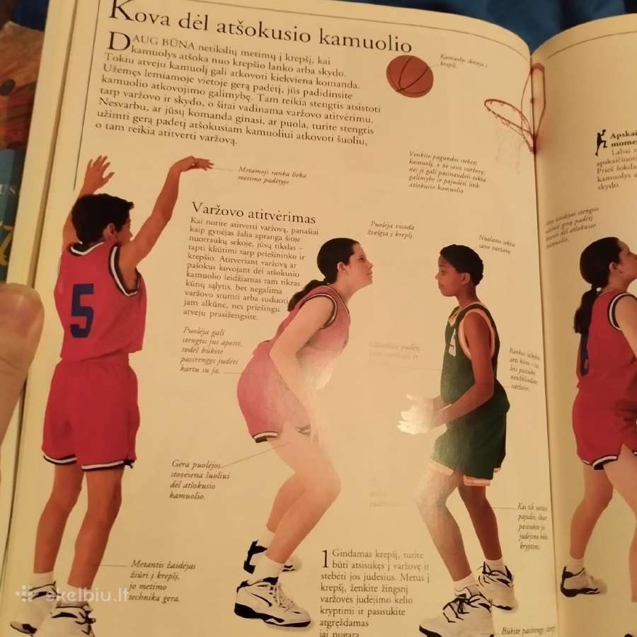 Knyga būsimam krepsininkui - nuotraukos Nr. 8