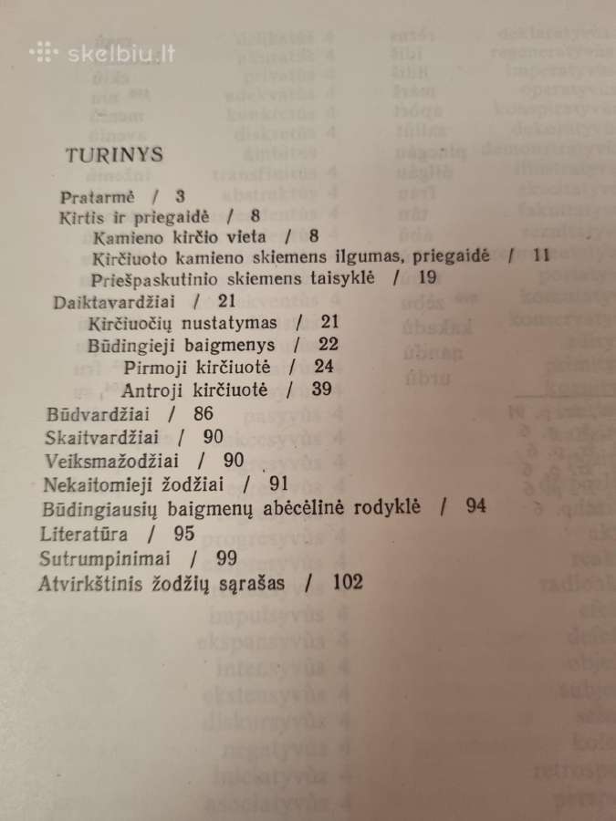Tarptautinių žodžių kirčiavimas - nuotraukos Nr. 3