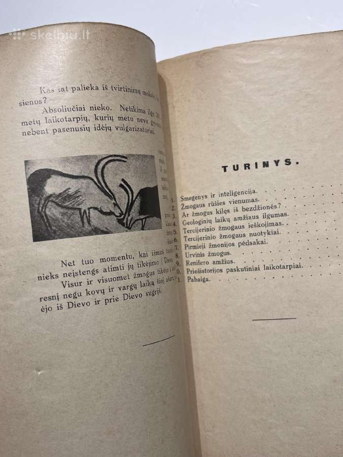 Knyga Kas mes esame. Kaunas 1932 m. - nuotraukos Nr. 4