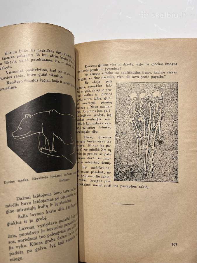 Knyga Kas mes esame. Kaunas 1932 m. - nuotraukos Nr. 5