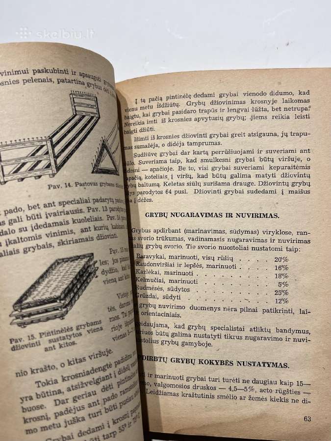 Knyga Grybai Jų Rinkimas Ir Paruošimas Rinkai - nuotraukos Nr. 3