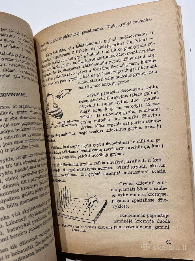 Knyga Grybai Jų Rinkimas Ir Paruošimas Rinkai - nuotraukos Nr. 4