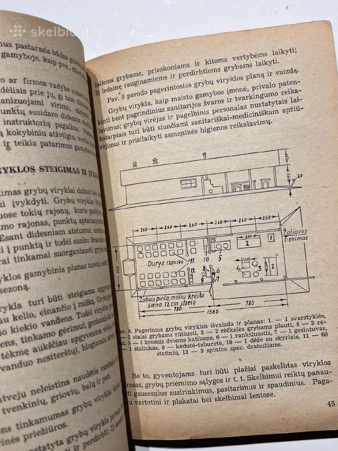 Knyga Grybai Jų Rinkimas Ir Paruošimas Rinkai - nuotraukos Nr. 6