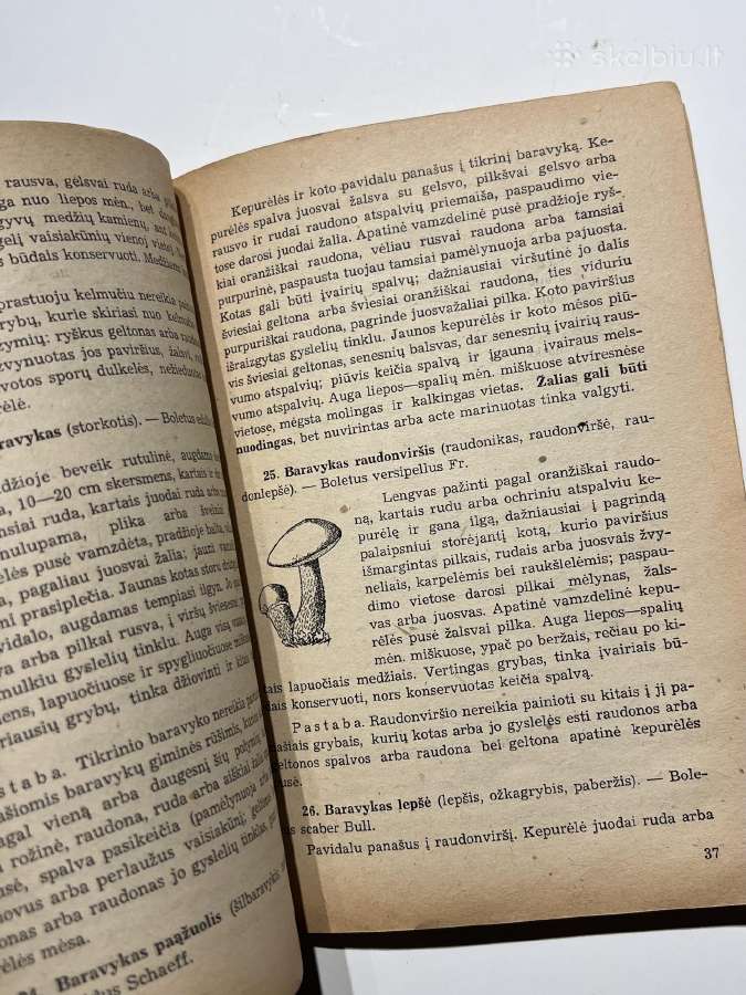 Knyga Grybai Jų Rinkimas Ir Paruošimas Rinkai - nuotraukos Nr. 7