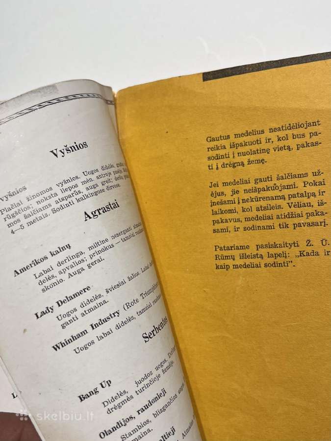 Vilkijos kultūr.ūkio Medelynas kainoraštis 1938-39 - nuotraukos Nr. 3