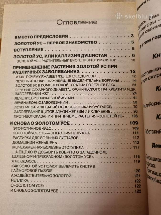 Viskas apie auksinį ūsą - nuotraukos Nr. 4