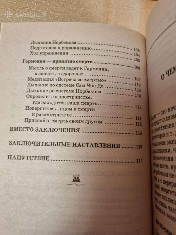 Kaip jausmus paversti stebuklingais vaistais - nuotraukos Nr. 8