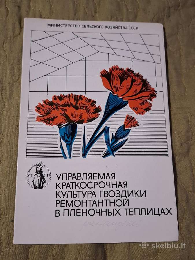 Gėlės - nuotraukos Nr. 8