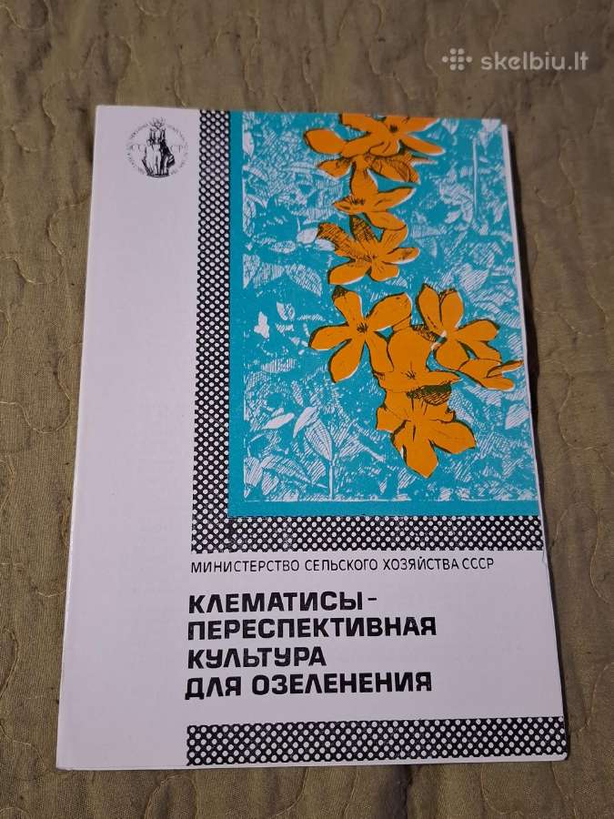 Gėlės - nuotraukos Nr. 16