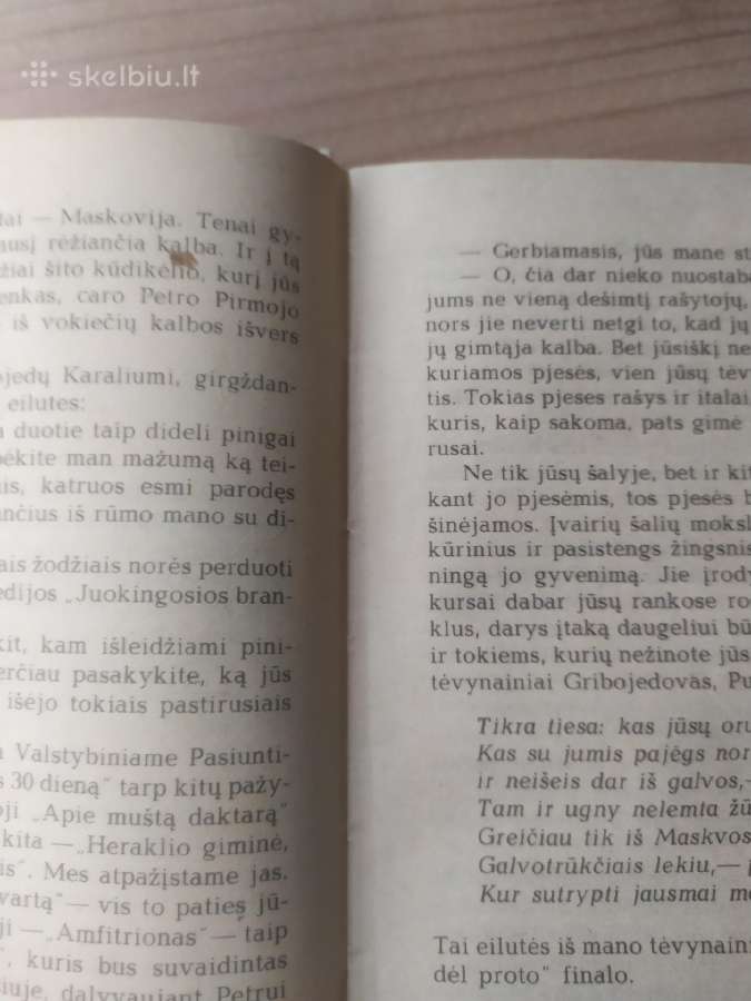 Michailas Bulgakovas "Moljeras" - nuotraukos Nr. 8
