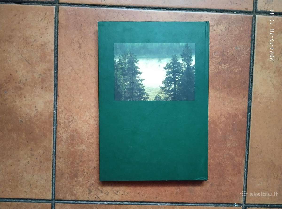 Kostas Slivskis "Antras žvėrių gyvenimas" 2001 m. - nuotraukos Nr. 10