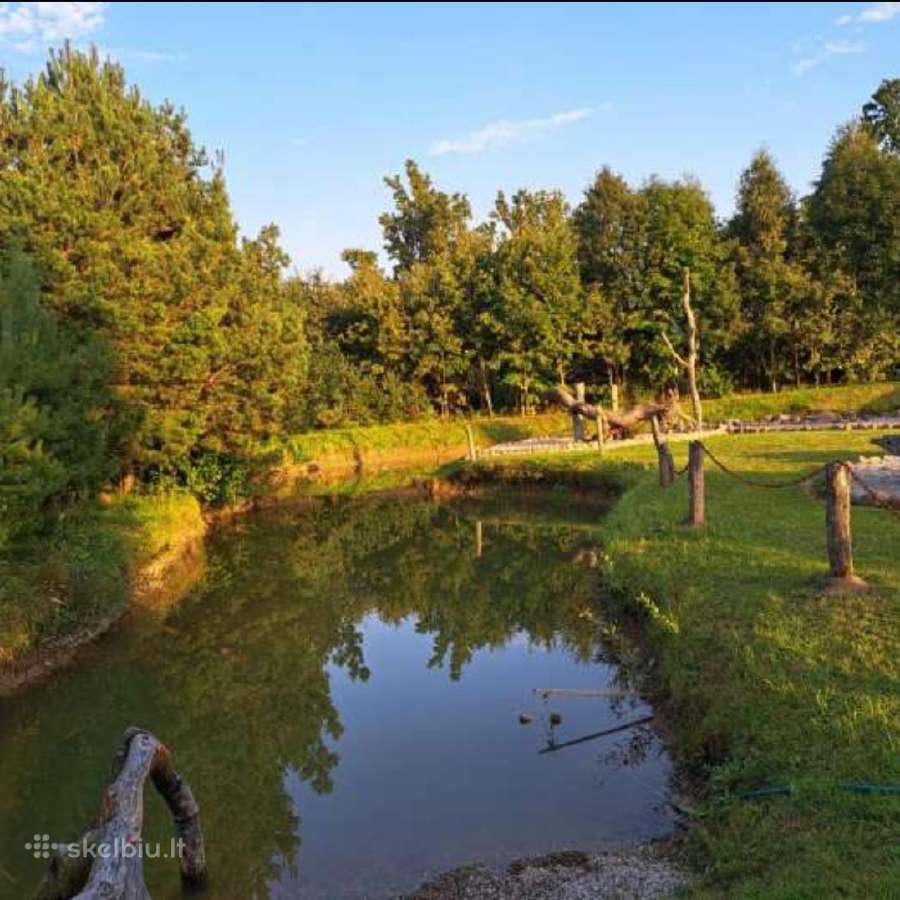 Miško Užuovėja/ Pirtis/ Kubilas/salė/miegamieji