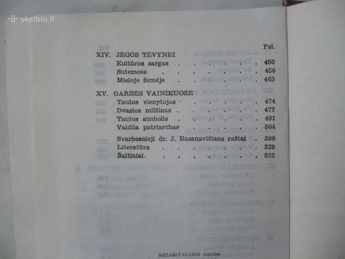 A. Nezabitauskis - Jonas Basanavičius - nuotraukos Nr. 3