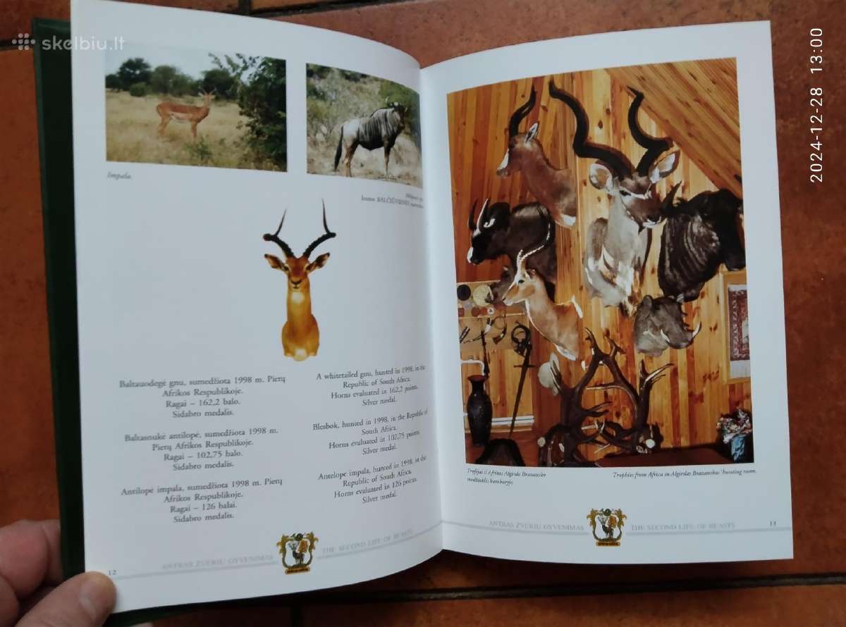 Medžioklės trofėjų ir peilių kolekcija - nuotraukos Nr. 5