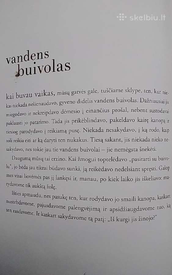 Atokaus priemiesčio istorijos - nuotraukos Nr. 3