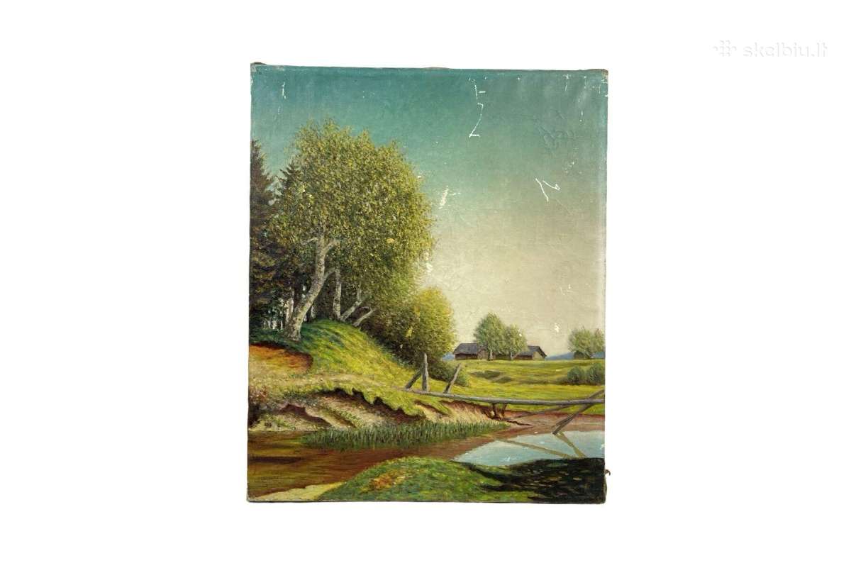 Drobė aliejiniai 62.8x76 см kaina 25 eurai