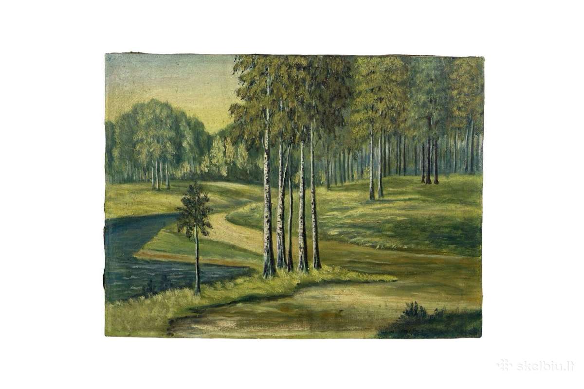 Drobė aliejus 79.5x60 см kaina 25 eurai