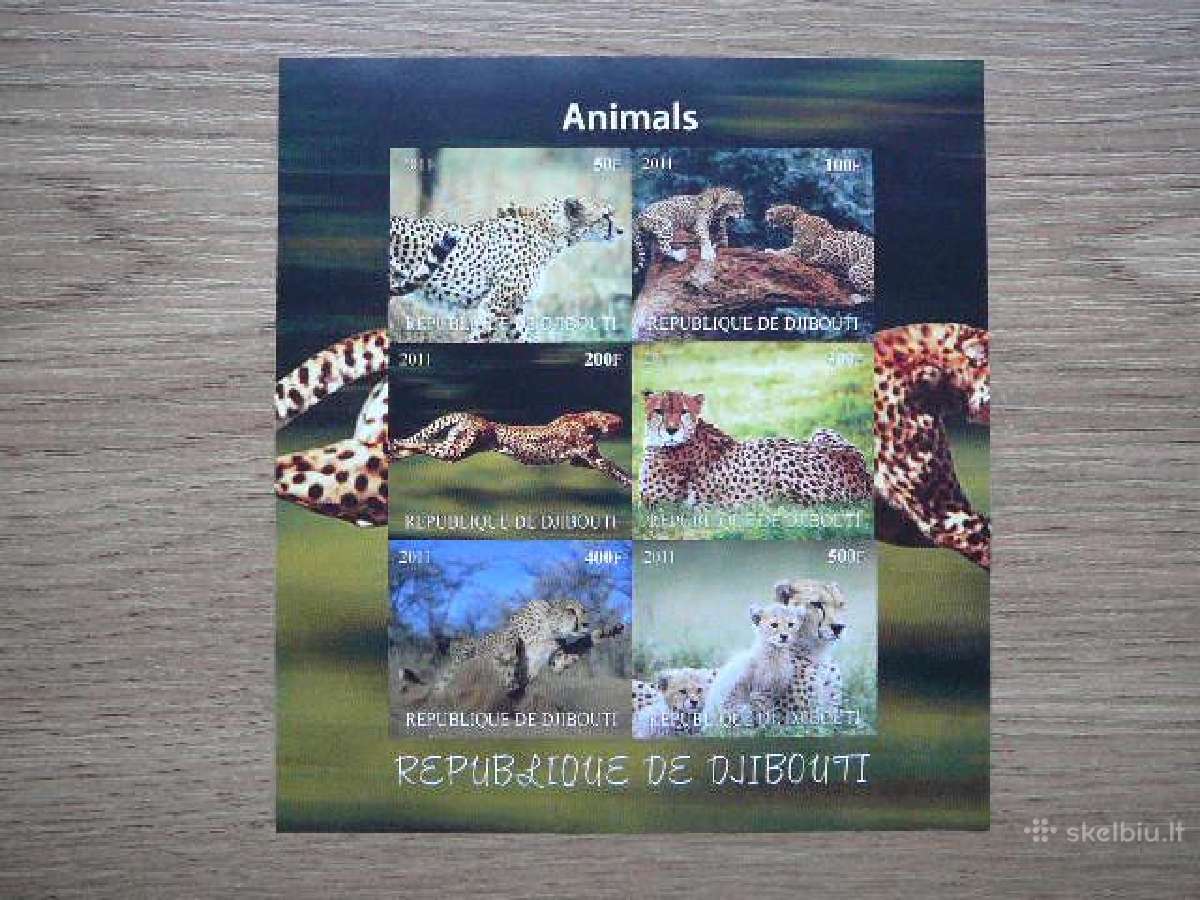 Panteros Kates laukines Dzibutis 2011 Mnh d1991bd