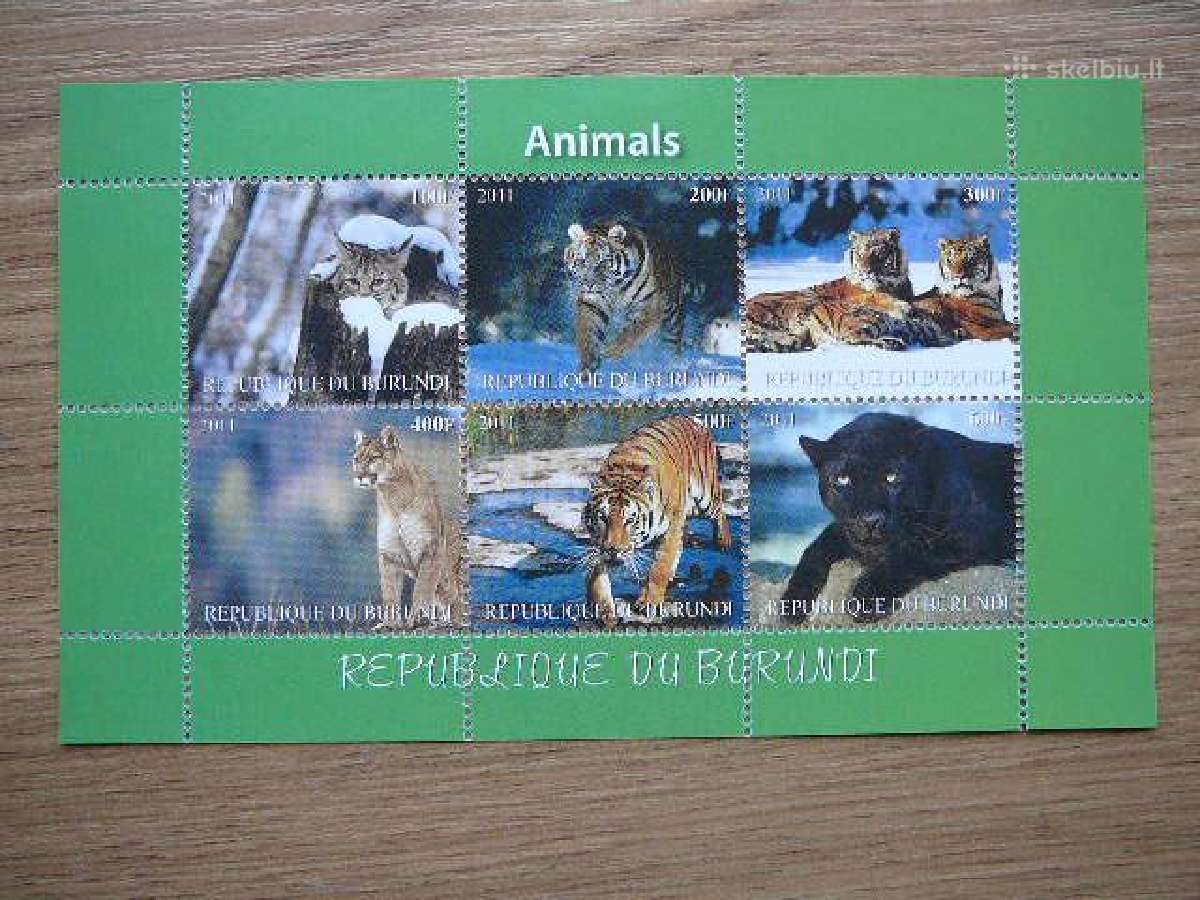 Tigrai Lusis Puma Kates laukines Burundis m2110