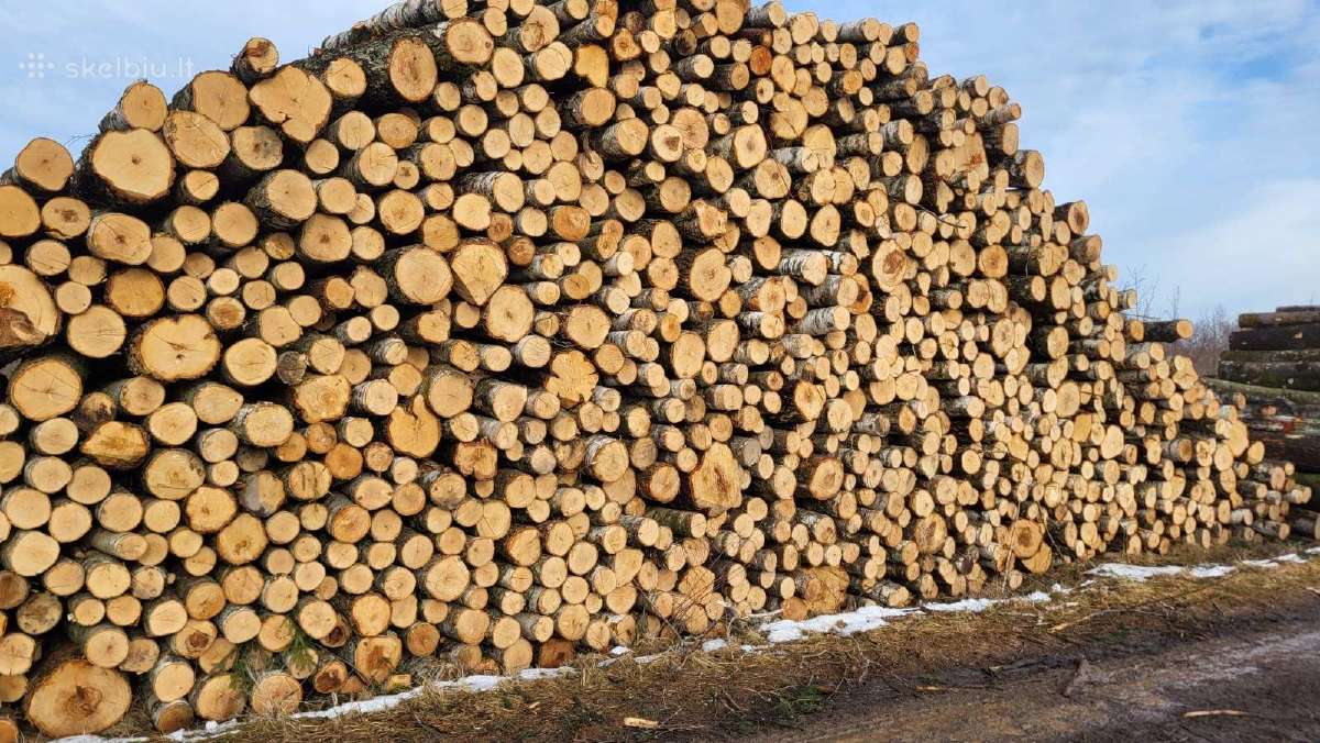 Malkos pigiau! Beržas,uosis,ąžuolas,alksnis. - nuotraukos Nr. 2