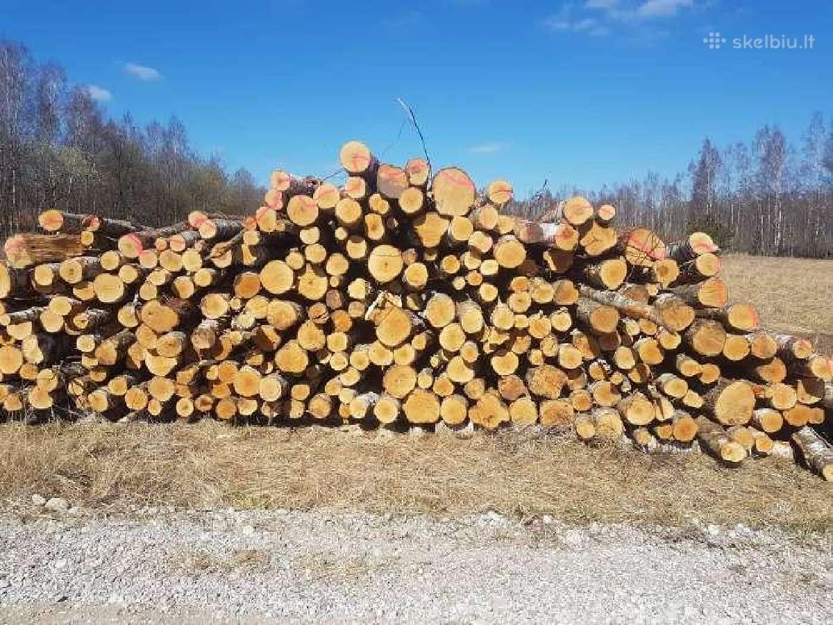 Malkos pigiau! Beržas,uosis,ąžuolas,alksnis. - nuotraukos Nr. 6