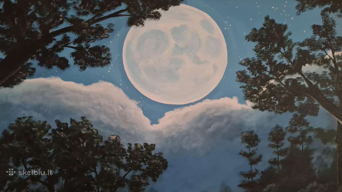 Paveikslas 80x160 - nuotraukos Nr. 3