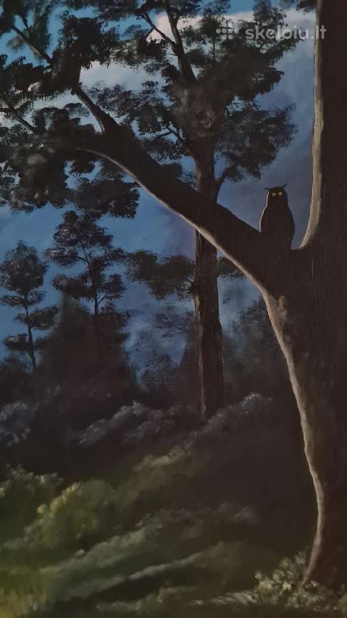 Paveikslas 80x160 - nuotraukos Nr. 6