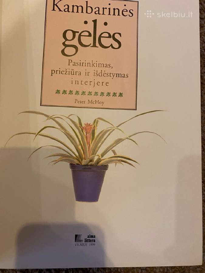 Parduodama knyga apie kambarines gėles - nuotraukos Nr. 2