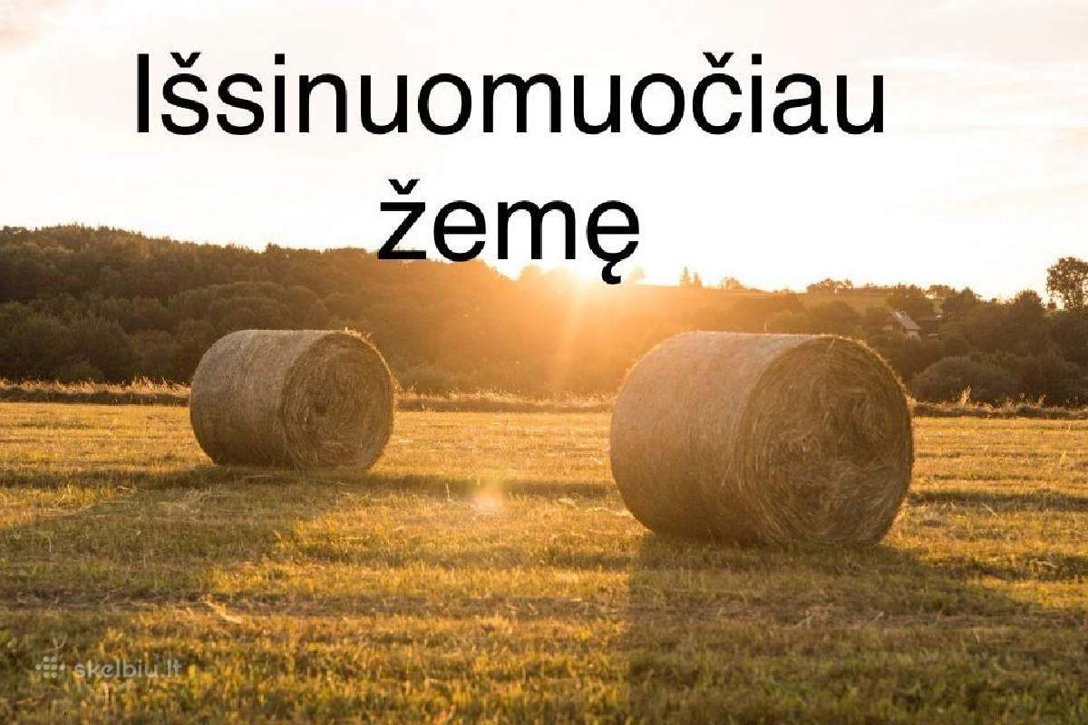 Ieskau žemes nuomai -gali but apleista-mazais