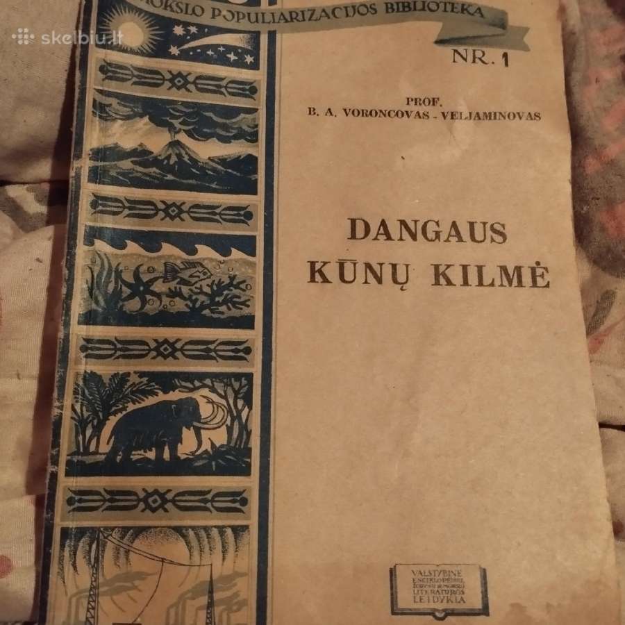 Vintage knyga