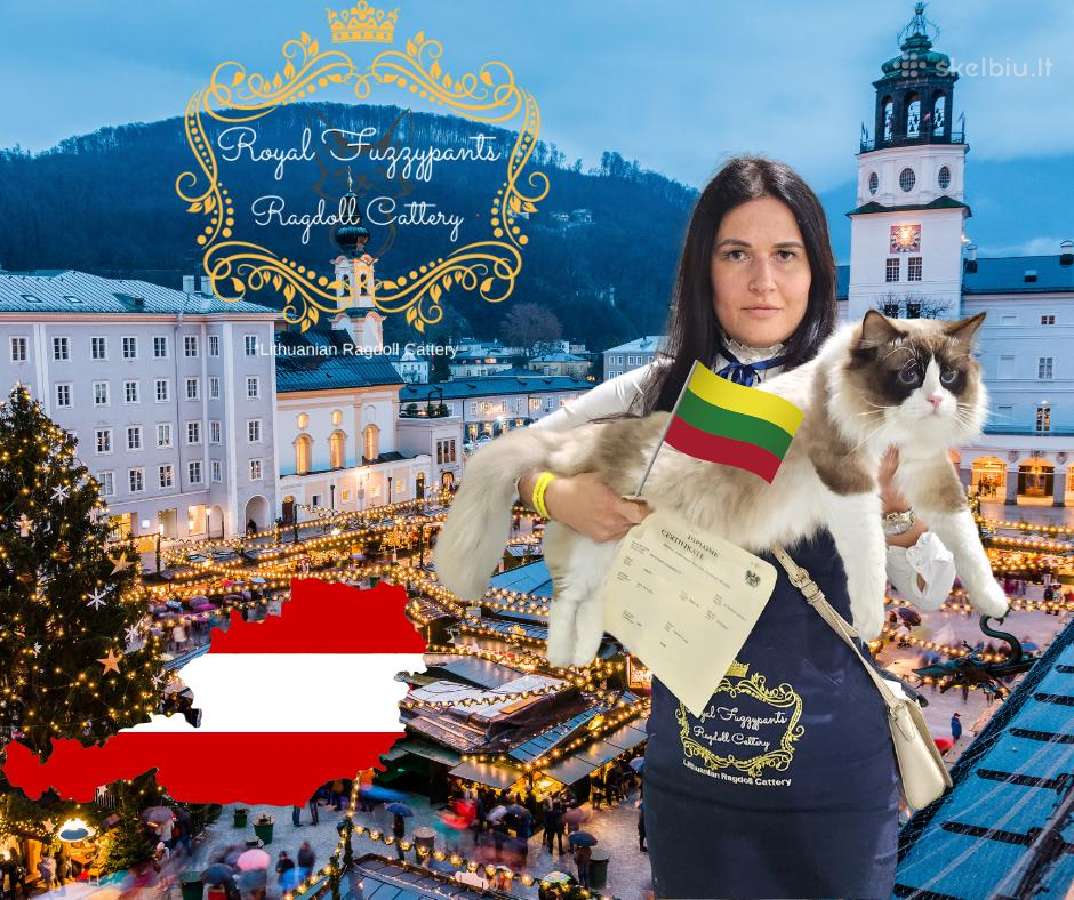 Supreme Champion Alvin Royal Fuzzypants*lt - nuotraukos Nr. 2