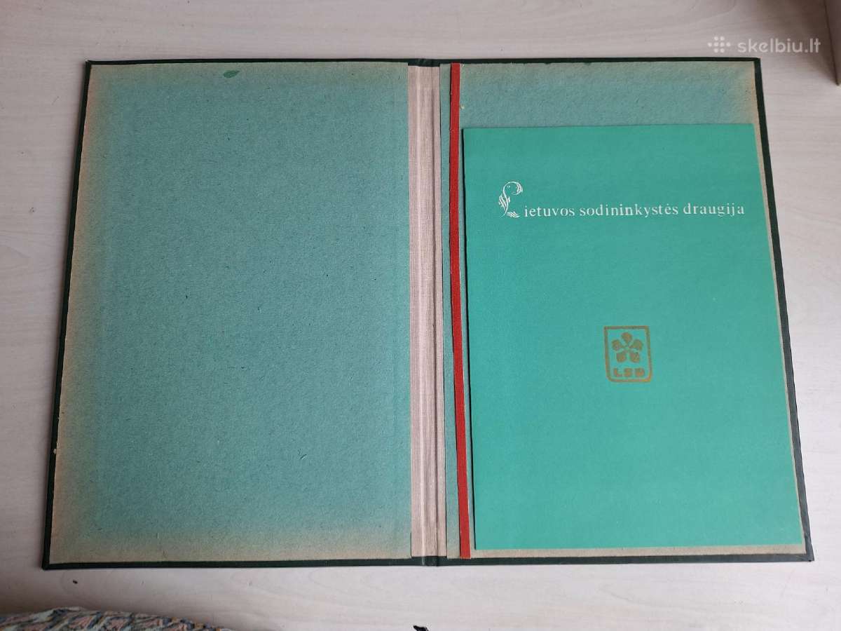 Lietuvos Sodininkystės draugijos diplomas 1981 m. - nuotraukos Nr. 2