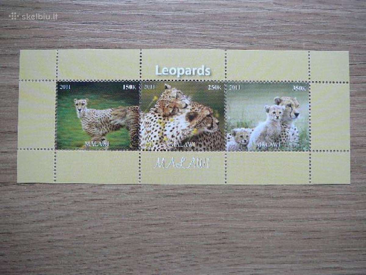 Panteros Kates laukines Malavis 2011 Mnh m1364