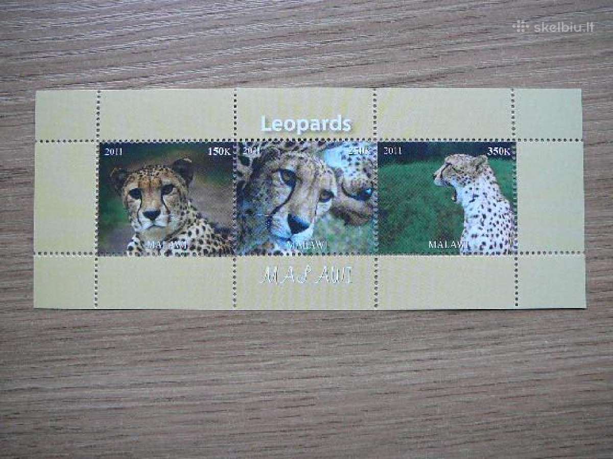 Panteros Kates laukines Malavis 2011 Mnh m1365