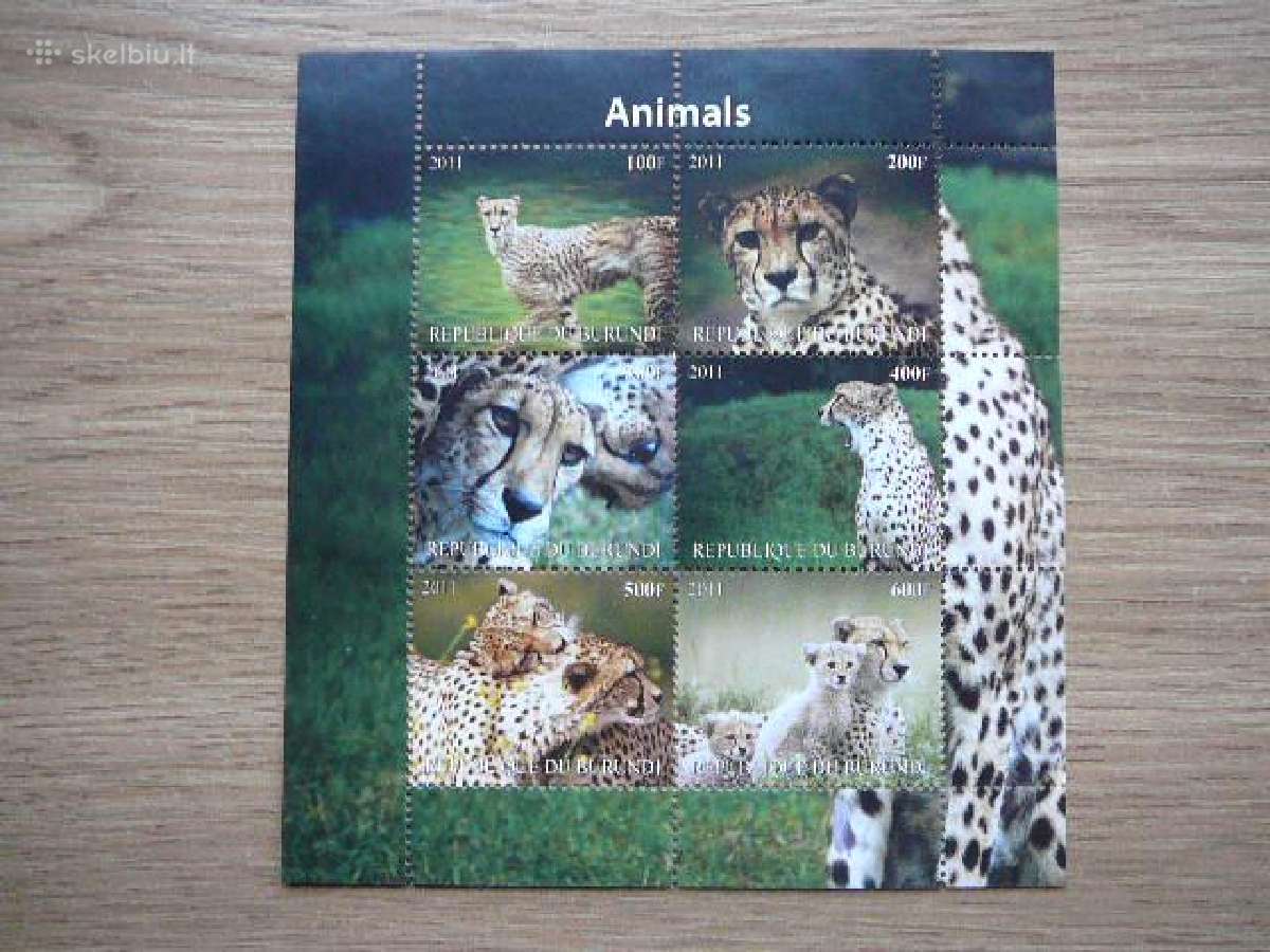 Panteros Kates laukines Burundis 2011 Mnh b1366