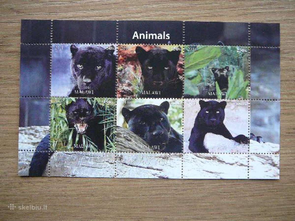 Panteros Kates laukines Malavis 2011 Mnh m1369
