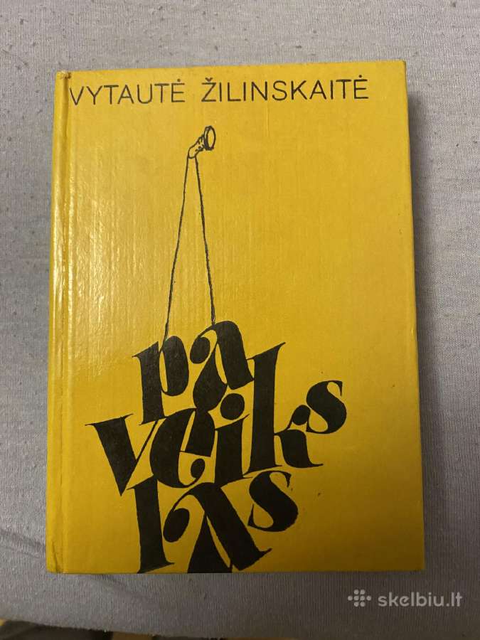 Knyga Paveikslas