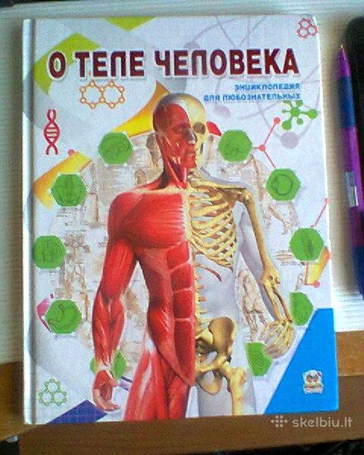 Apie žmogaus kūną