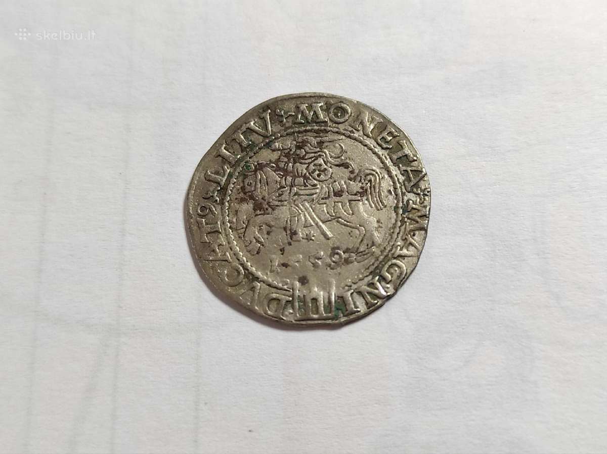 1559 Žygimantas Augustas grašis - nuotraukos Nr. 2
