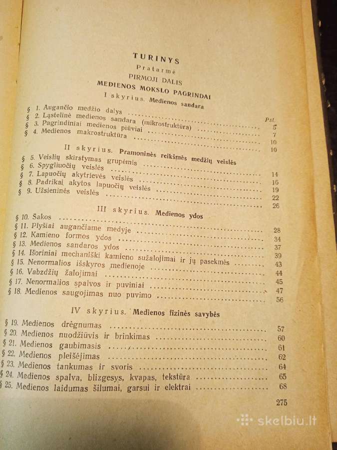 Bendroji medzio technologija - nuotraukos Nr. 3